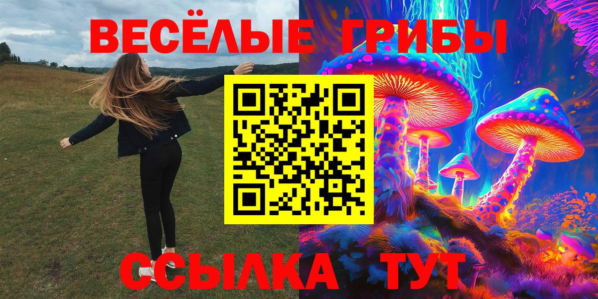 Кудымкар  Псилоцибиновые грибы Cubensis  цены наркотик  Вход с VPN 