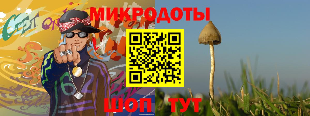 Псилоцибиновые грибы MAGIC MUSHROOMS Кудымкар